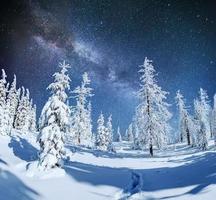 sterrenhemel in besneeuwde winternacht. fantastische melkweg foto