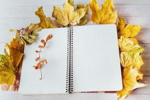 gele esdoornbladeren bovenop en notitieboekje liggend foto