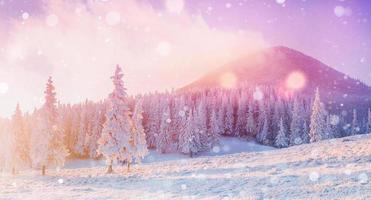 mysterieus winterlandschap majestueuze bergen foto