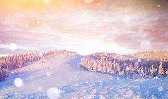 winterlandschap bomen en hek in rijm, achtergrond met s foto