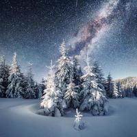 Dairy Star Trek in de winter bossen. dramatische en pittoreske sc foto