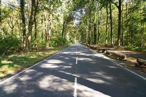 lege tweebaans landweg door bos foto