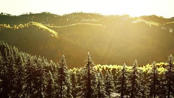 herfst scandinavisch bos en landschap met levendige herfstkleuren foto