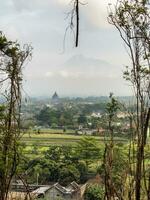uitzicht op de prambanan-tempel en de merapi-berg in het mistige ochtendbos