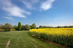 verkrachting op het platteland van Essex foto