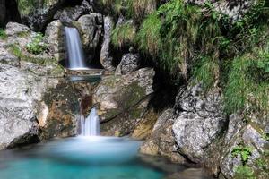 pool van paarden bij val vertova lombardije bij bergamo in italië foto