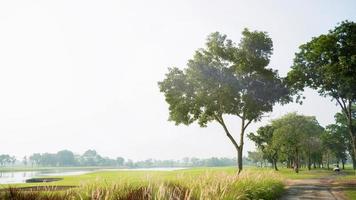 uitgestrekte golfbaan met kanalen of rivieren aan de zijkant en schaduwrijke bomen met bloemrijke struiken en gras langs de loopbrug. de sfeer van de golfbaan in de ochtend, mist en zonneschijn in de ochtend. foto