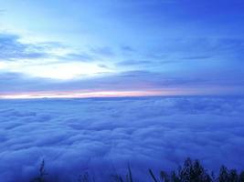 zeemist bij phu tub berk, een toeristische attractie in thailand. de witte wolken op de bergtop, in de ochtend komt de zon op. het uitzichtpunt van de zeemist op de bergtop foto