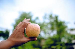 handen en appels van mensen die van gezondheidszorg houden. appels eten met vitamine c, het concept van gezondheidszorg. foto