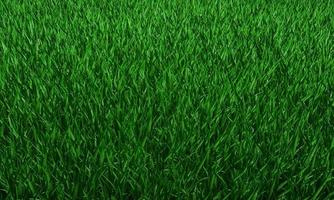 groen gras textuur achtergrond, groen gazon, achtertuin voor achtergrond, gras textuur, groen gazon desktop foto, park gazon textuur. 3D-softwareweergave. foto