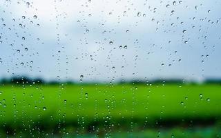 regendruppels op het oppervlak van autoglas met wazige groene natuurachtergrond door vensterglas van auto bedekt met regendruppels. frisheid na regen. natte voorruit geschoten vanuit de auto. selectieve aandacht. foto