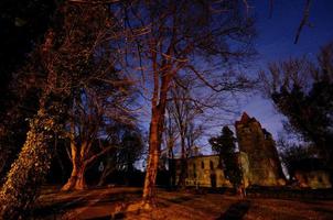 kasteel met bomen en sterren foto