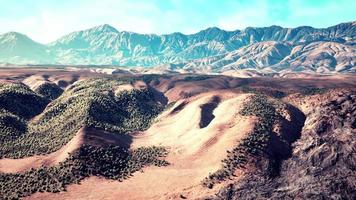 weids uitzicht op de woestijn van Californië foto
