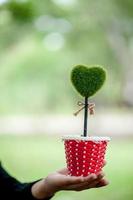 mooie groene hand- en hartafbeeldingen Valentijnsdag concept met kopieerruimte foto