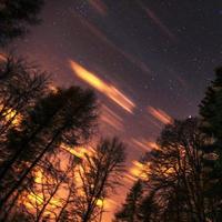 sterrenhemel door de bomen foto