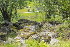 noors landschap met bomen, sparren bergen en rotsen. Noorwegen natuur. foto