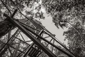 houten uitkijktoren tropische jungle naar muyil lagune panorama mexico. foto