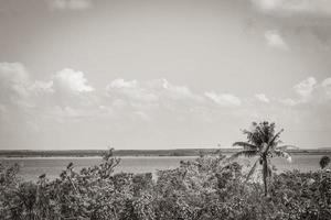 muyil lagune panorama uitzicht in tropische jungle mexico. foto