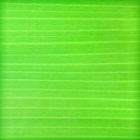 groene bananenblad achtergrond abstract foto