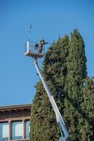 tuinman snoeien boom op mobiel platform foto