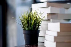 boek op het bureau geplaatst veel boeken, prachtige kleuren om te studeren, kennis, onderwijs - afbeeldingen foto