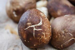 shiitake-paddenstoel op houten tafel foto