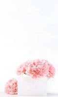 mooie bloeiende baby roze tedere anjers in een witte vaas geïsoleerd op lichte achtergrond, mei moederdag groet moeder ideeën concept fotografie, close-up, kopieer ruimte, mock up foto