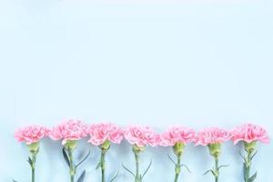 mooie bloeiende roze anjers geïsoleerd op een heldere lichtblauwe achtergrond, kopieer ruimte, plat lag, bovenaanzicht, mock up, mei moederdag idee concept fotografie foto