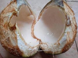 kopyor kokosnoot foto
