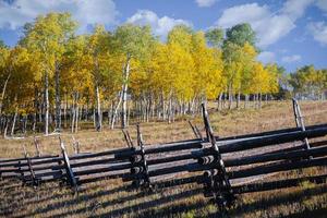 mooie herfstkleur in de San Juan Mountains van Colorado. foto