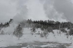 winterlandschap van het nationaal park Yellowstone. foto