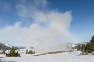 winterlandschap in het nationaal park yellowstone, wyoming. foto