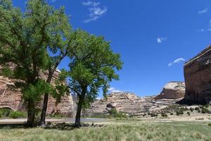 de landschappelijke schoonheid van Colorado. stoombootrots op de yampa-rivier in het nationale monument van de dinosaurus foto