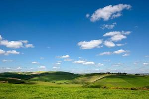 schilderachtig uitzicht op het glooiende platteland van Sussex foto