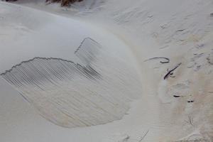zandduin bij sandfly bay zuid eiland nieuw zeeland foto