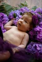 portret van een schattig klein meisje. baby ligt in de kleuren van paarse hortensia foto