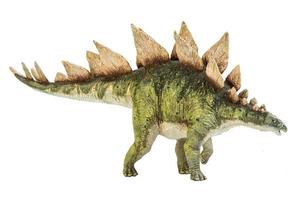 stegosaurus dinosaurus op isoleren achtergrond. foto