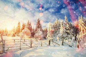 winterlandschap bomen en hek in rijm, achtergrond met s foto