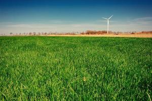 groen grasveld en helderblauwe lucht foto