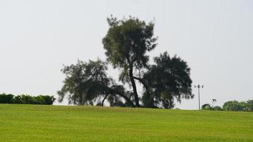 landschap met bomen en een landhuis in de verte foto