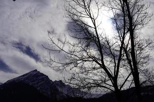 prachtig landschap met bomen en bergen foto