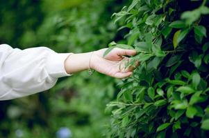 mooie groene handen en bladeren van natuurliefhebbers, natuurlijke concepten - afbeeldingen foto