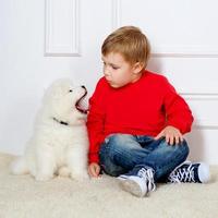 glimlachend jongetje van drie jaar oud spelen met witte puppy's van samojeed in studio foto