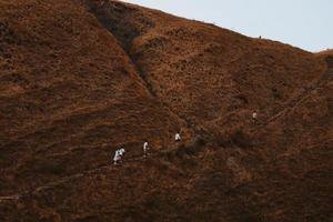 toeristen wandelen in prachtige bruine heuvel op padar eiland labuan bajo foto