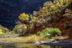 fotografen die langs de maagdelijke rivier lopen foto