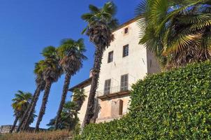 castello della manta kasteel foto