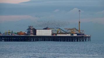 Brighton, East Sussex, Verenigd Koninkrijk, 2018. spreeuwen over de pier in Brighton East Sussex op 26 januari 2018 foto