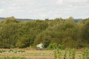 uitzichten en details van het platteland van Lugo foto