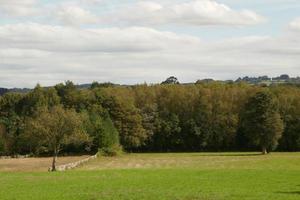 uitzichten en details van het platteland van Lugo foto