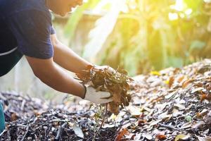 close-up beeld van aziatische man die de compost doet van rotte en droge bladeren die onder de bomen in de achtertuin van zijn huis vielen, zachte en selectieve focus. foto